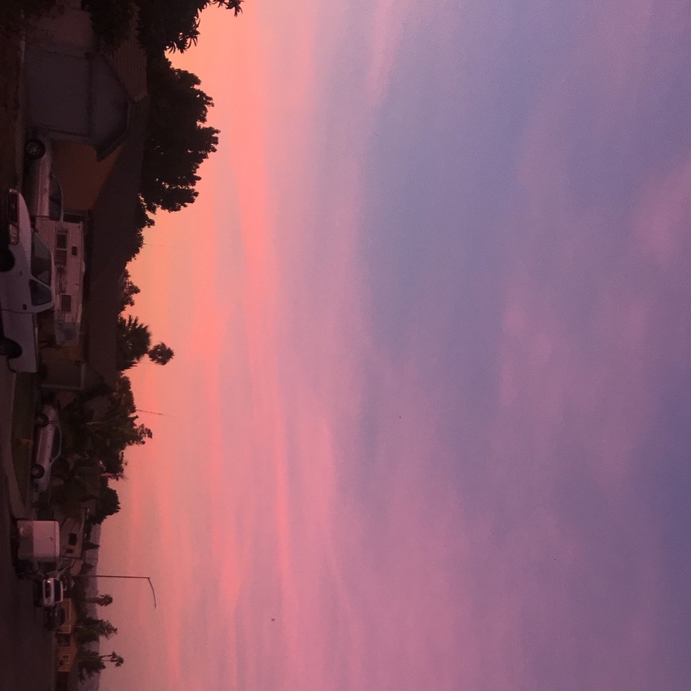 Meet your Posher, Chelss